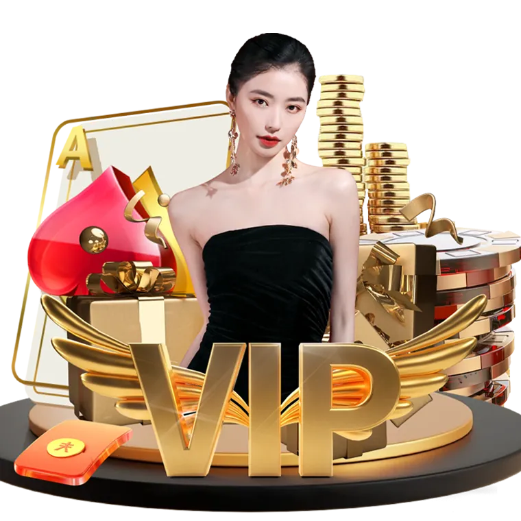 Dedicated 8k8 vip Support